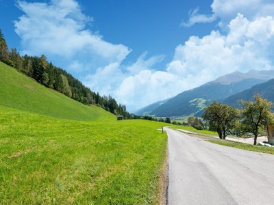 Holiday house Farmhouse in Wildkogel near Ski Slopes - Environment photo 35