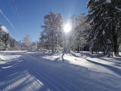 Cottage Wohnung in St. Gallenkirch nahe Skipisten - Environment photo 28