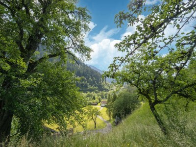 Cottage Chalet in St. Gallenkirch near Ski Lift - Outdoor photo 5