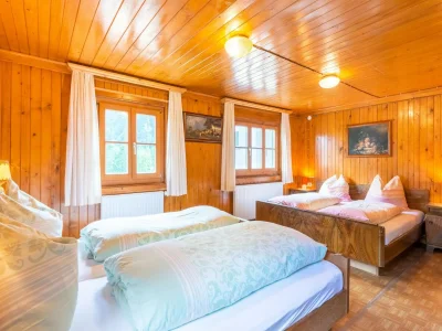 Cottage Chalet in St. Gallenkirch near Ski Lift - Features photo 25