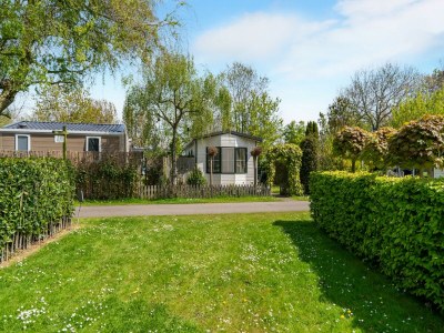 Holiday house Luxury chalet near Ouddorp with garden - Outdoor photo 9