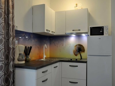 Apartment Apartments Profaca - One Bedroom Apartment with Terrace - Features photo 8