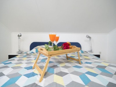 Apartment Apartments Milic - Twin Room 1 - Features photo 10