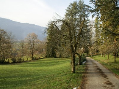 Holiday park Apartment near French Alps - Outdoor photo 6