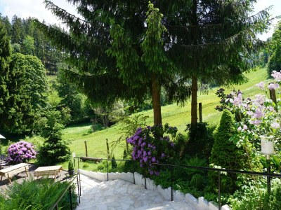 Holiday house Ferienhaus im Sauerland - Environment photo 37