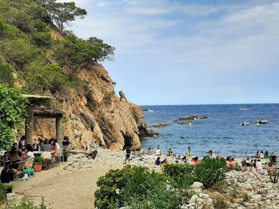 Holiday house Ferienhaus nahe Cala Pedrosa Strand - Environment photo 35