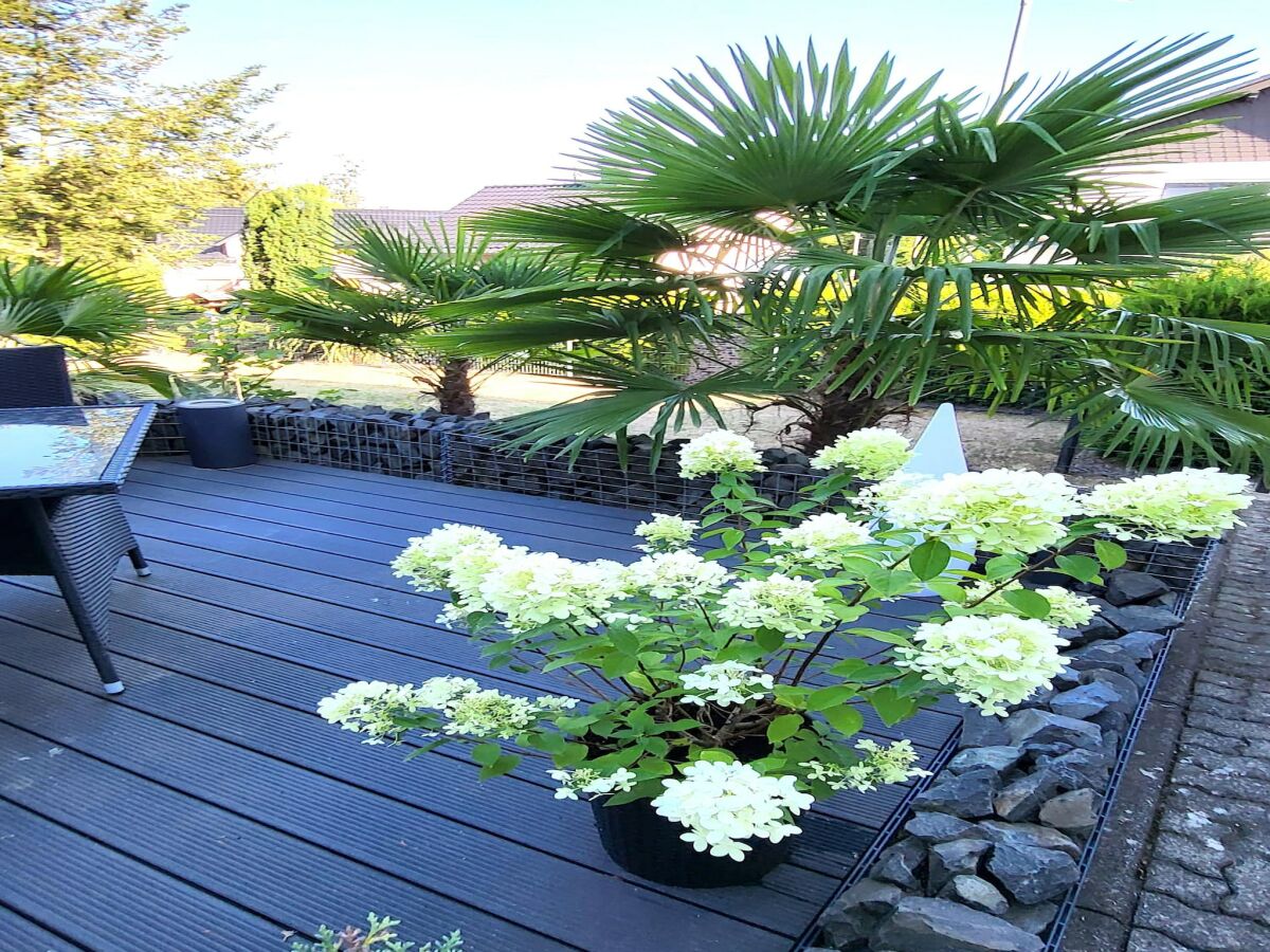 Apartment Regal Apartment in Pracht with Garden and Grill - Outdoor photo 5