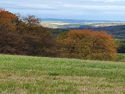 Apartment Regal Apartment in Pracht with Garden and Grill - Environment photo 26