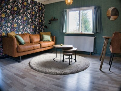 Holiday house Gemütliches Ferienhaus in Schoonloo in einer wunderschönen Umgebung. - Features photo 26