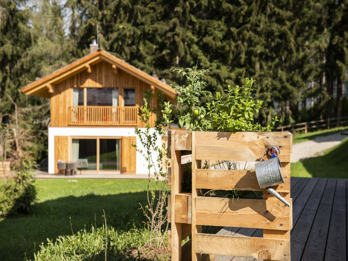 Chalet Nice chalet in Wölting with natural swimming pond