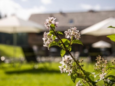 Chalet Nice chalet in Wölting with natural swimming pond - Outdoor photo 7