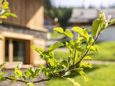 Chalet Nice chalet in Wölting with natural swimming pond - Outdoor photo 12
