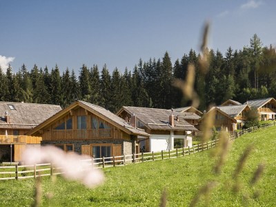 Chalet Nice chalet in Wölting with natural swimming pond - Outdoor photo 14