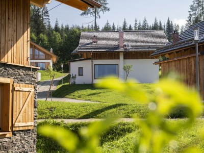 Chalet Nice chalet in Wölting with natural swimming pond - Outdoor photo 36