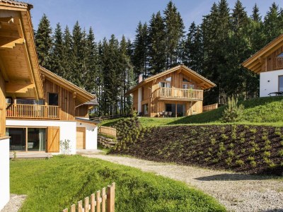 Chalet Nice chalet in Wölting with natural swimming pond - Outdoor photo 38