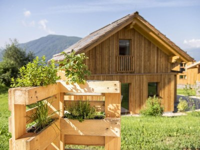 Chalet Geräumiges Chalet in Wölting mit Sauna - Outdoor photo 29