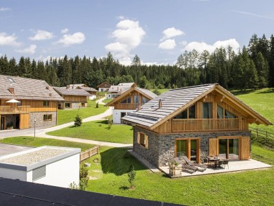 Chalet Geräumiges Chalet in Wölting mit Sauna - Outdoor photo 35