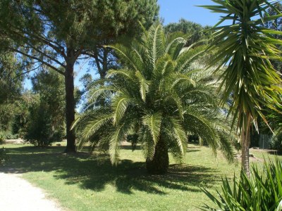 Holiday house Holiday home near Pampelonne beach - Outdoor photo 7
