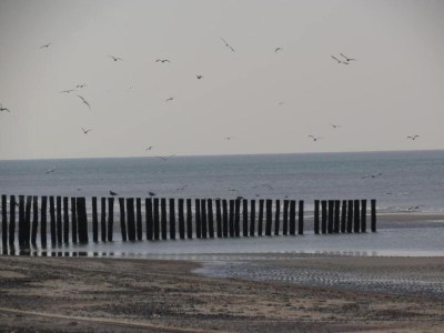 Holiday house Ferienhaus in Renesse nahe Strand - Environment photo 25