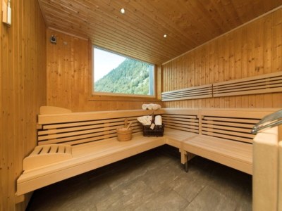 Apartment Studio in Österreich mit Panoramasauna - Outdoor photo 23