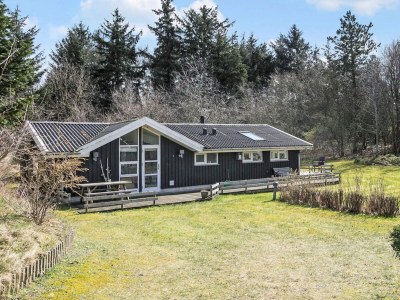 Holiday house 6 Personen Ferienhaus in Fjerritslev-By Traum - Outdoor photo 2