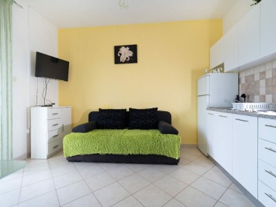 Apartment One bedroom apartment with terrace - Features photo 11