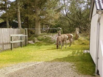 Holiday house 2 Personen Ferienhaus in Vejers Strand-By Traum - Outdoor photo 2