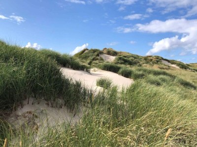 Holiday house 2 Personen Ferienhaus in Vejers Strand-By Traum - Outdoor photo 16
