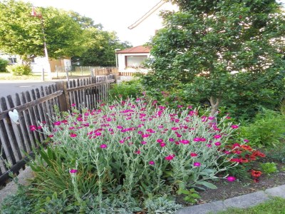 Apartment Wohnung mit Terrasse im Garten - Outdoor photo 7