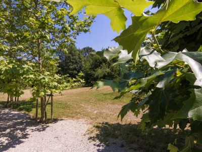 Holiday park Cottage in Chaleix near Forest and Lake - Outdoor photo 8