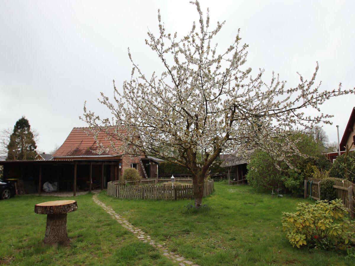 Holiday house Ferienhaus in Wittendצrp OT Pogress - Outdoor photo 3