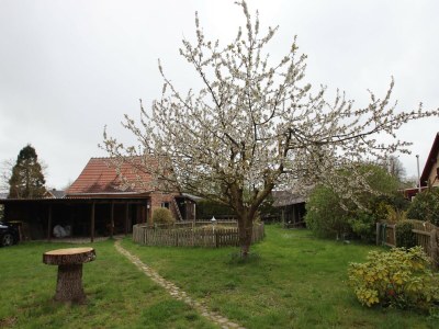 Holiday house Ferienhaus in Wittendצrp OT Pogress - Outdoor photo 3