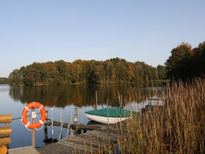 Holiday house Ferienhaus in Wittendצrp OT Pogress - Environment photo 26