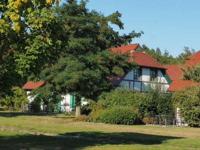 Apartment Wohnung in Dranske mit Garten - Apartment