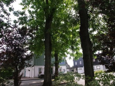Holiday house Ferienhaus mit Sauna in Winterberg - Outdoor photo 9