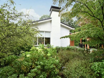 Holiday house Holiday Home in Holten near Holterberg - Outdoor photo 5