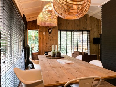 Holiday house Holiday Home in Rheezerveen with Sauna - Features photo 10