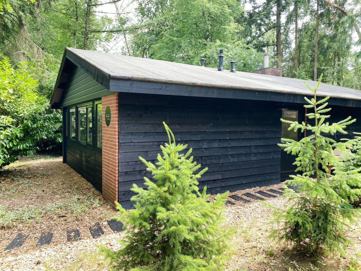 Holiday house Holiday Home in Rheezerveen with Wellness Area - Outdoor photo 3