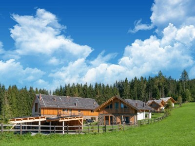 Chalet Ansprechendes Chalet in Wölting mit Sauna - Environment photo 32