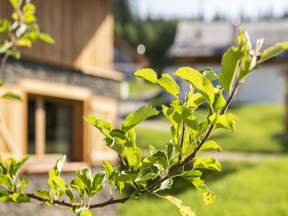 Chalet Gemütliches Chalet in Wölting mit Naturbadeteich - Outdoor photo 3