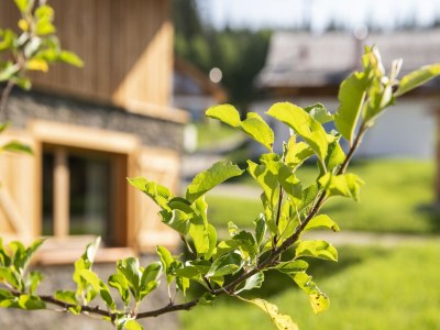 Chalet Gemütliches Chalet in Wölting mit Naturbadeteich - Outdoor photo 3
