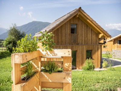 Chalet Gemütliches Chalet in Wölting mit Naturbadeteich - Outdoor photo 19