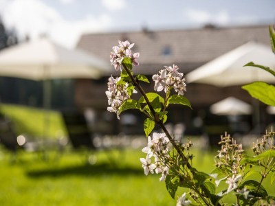 Chalet Gemütliches Chalet in Wölting mit Naturbadeteich - Outdoor photo 24