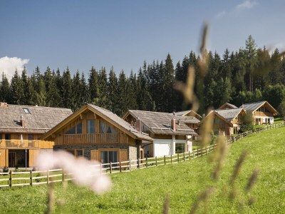 Chalet Gemütliches Chalet in Wölting mit Naturbadeteich - Outdoor photo 33
