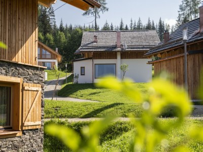 Chalet Gemütliches Chalet in Wölting mit Naturbadeteich - Outdoor photo 34