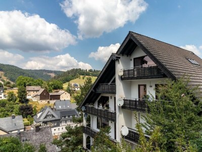 Apartment Wohnung mit Sauna bei Willingen - Apartment