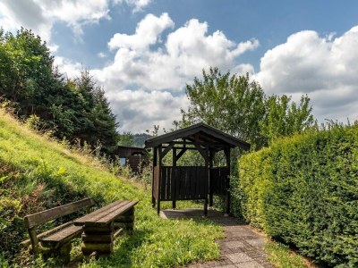 Apartment Wohnung mit Sauna bei Willingen - Outdoor photo 5