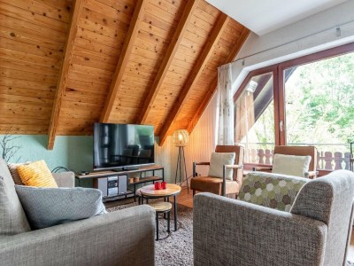 Apartment Wohnung mit Sauna bei Willingen - Features photo 18