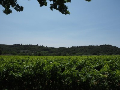 Holiday house Holiday Home near Pont du Gard & Vineyards - Outdoor photo 12