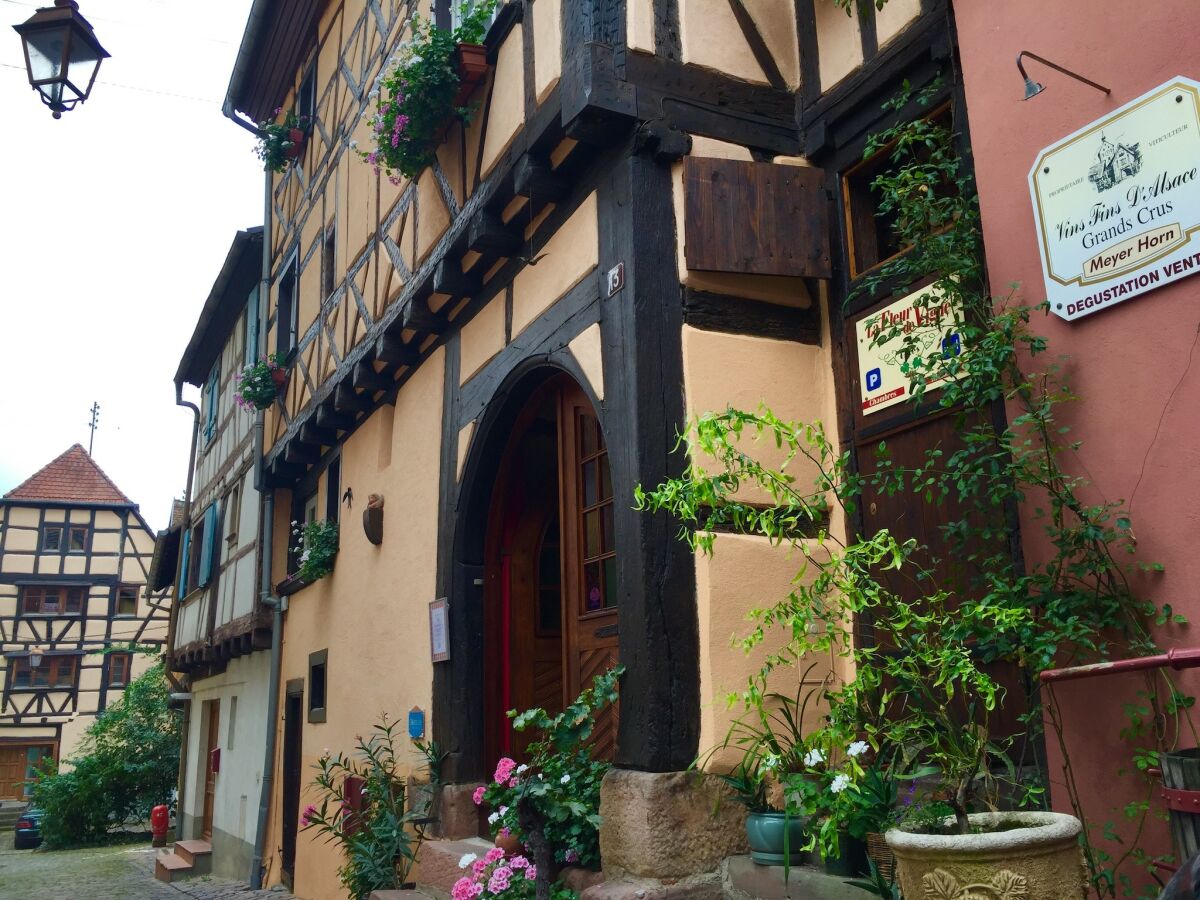 Apartment Apartment in Riquewihr near Vineyards